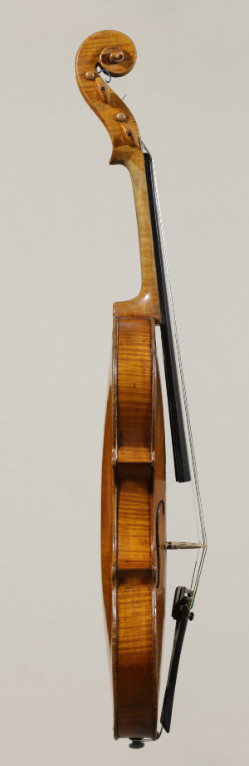 Gaetano Turrini Violin, 1823