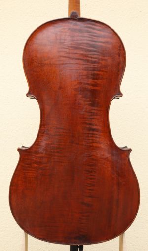 Anselmo Gotti Violin
