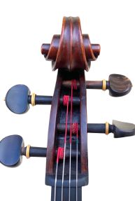 Anselmo Gotti Violin