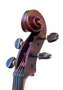 Anselmo Gotti Violin