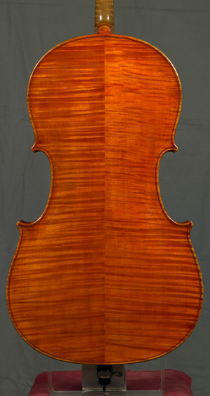 Anselmo Gotti Cello
