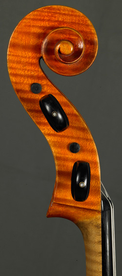 Anselmo Gotti Cello