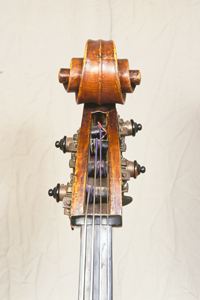 Giuseppe Marconcini, 1833
