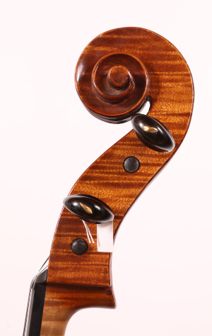 Gaetano Pareschi Cello - Ferrara 1973