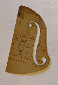 Modello Pareschi