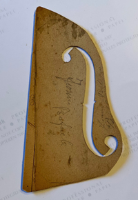 Modello Fiorini Raffaele