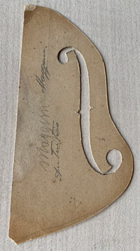 Modello Maggini