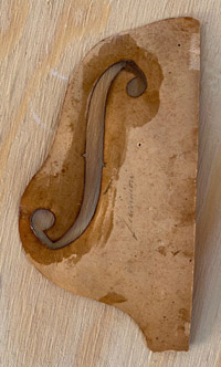 Modello Guarneri