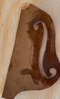 Modello Guarneri