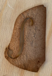 Modello Guarneri