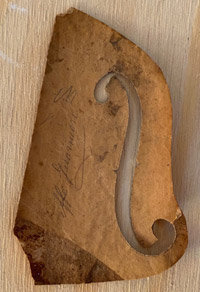 Modello Guarneri