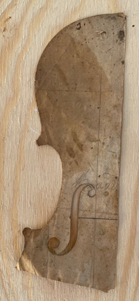 Modello Mezzadri