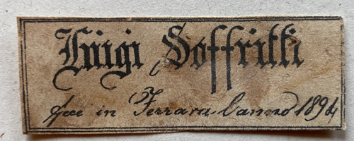 Luigi Soffritti