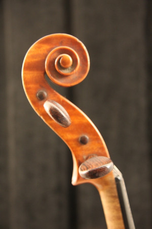 Luigi Soffritti Viola