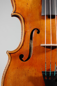 Ettore Soffritti Viola - Ferrara 1909