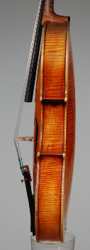 Ettore Soffritti Viola - Ferrara 1909