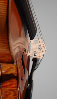 Ettore Soffritti Viola - Ferrara 1909