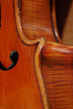 Ettore Soffritti Viola - Ferrara 1909