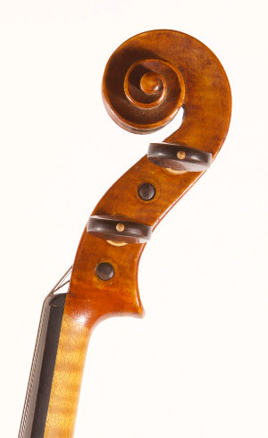 Violino Antonio Tunioli
